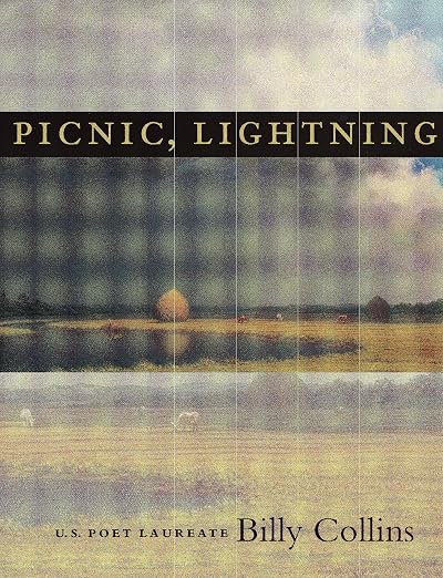 Picnic, Lightning