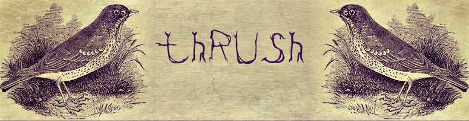 September a week in by Hala Alyan • Read A Little Poetry Thrush