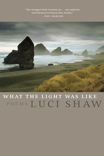  What the Light Was Like: Poems