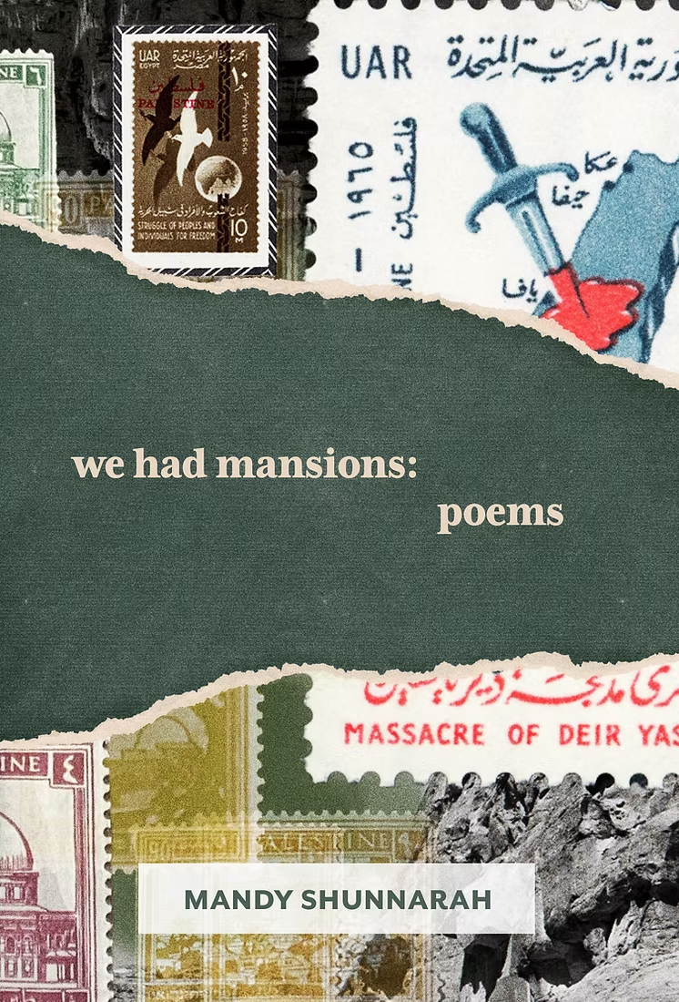 We Had Mansions