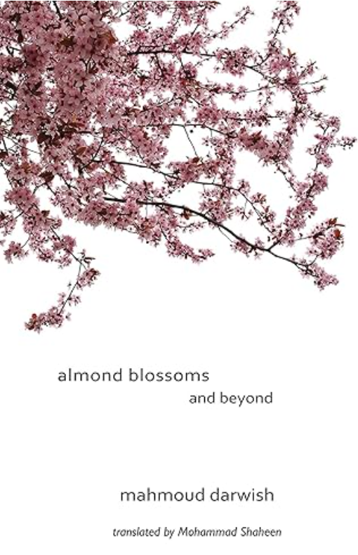 Almond Blossoms and Beyond