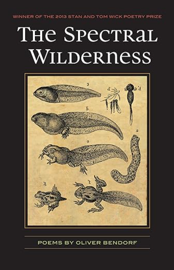 Take Care by Oliver Baez Bendorf • Read A Little Poetry The Spectral Wilderness