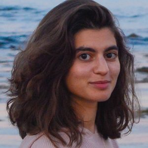 Talin Tahajian