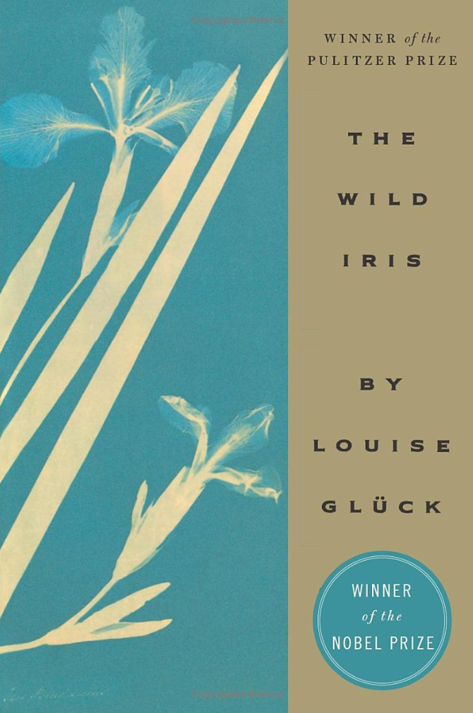 The Silver Lily by Louise Glück • Read A Little Poetry The Wild Iris
