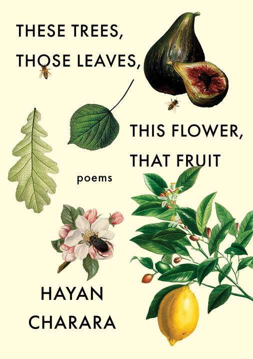 These Trees, Those Leaves, This Flower, That Fruit 